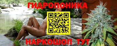 метадон Новозыбков