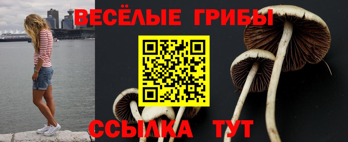 Псилоцибиновые грибы Cubensis Волоколамск